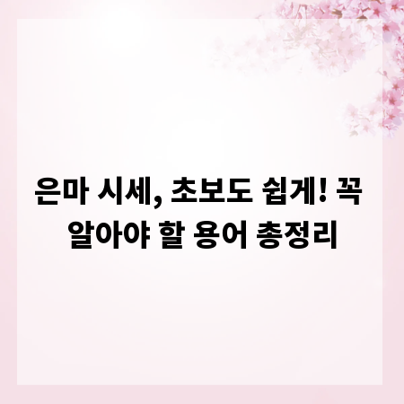 은마 시세, 초보도 쉽게! 꼭 알아야 할 용어 총정리