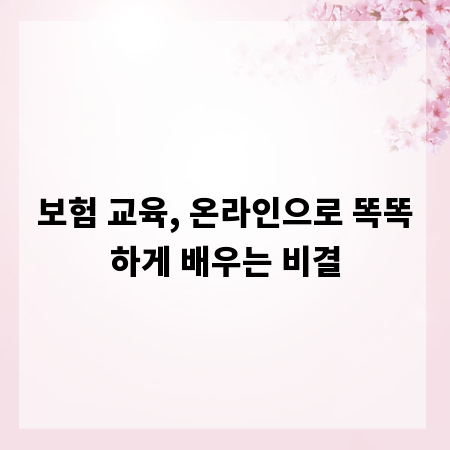 보험 교육, 온라인으로 똑똑하게 배우는 비결