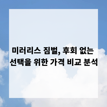 미러리스 짐벌, 후회 없는 선택을 위한 가격 비교 분석
