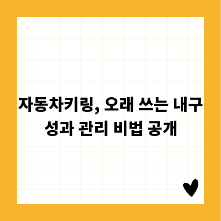 자동차키링, 오래 쓰는 내구성과 관리 비법 공개