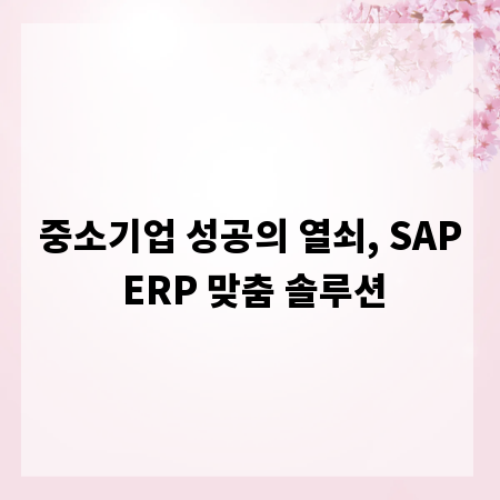 중소기업 성공의 열쇠, SAP ERP 맞춤 솔루션