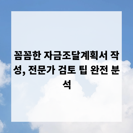 꼼꼼한 자금조달계획서 작성, 전문가 검토 팁 완전 분석