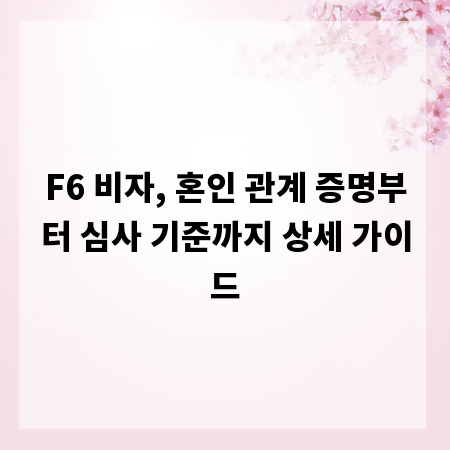 F6 비자, 혼인 관계 증명부터 심사 기준까지 상세 가이드