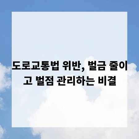 도로교통법 위반, 벌금 줄이고 벌점 관리하는 비결