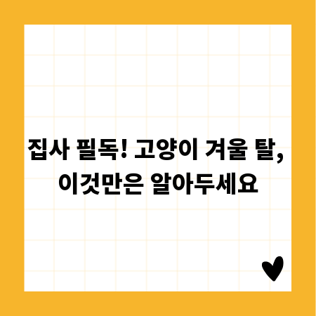 집사 필독! 고양이 겨울 탈, 이것만은 알아두세요