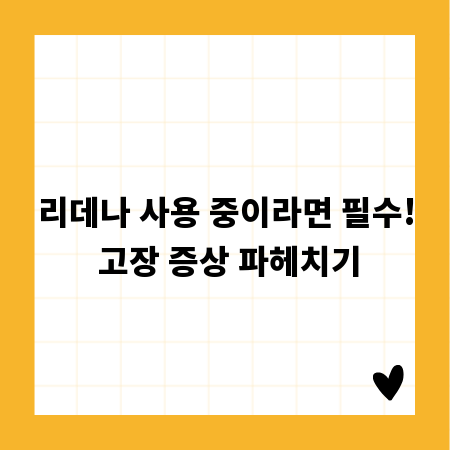 리데나 사용 중이라면 필수! 고장 증상 파헤치기