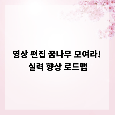 영상 편집 꿈나무 모여라! 실력 향상 로드맵