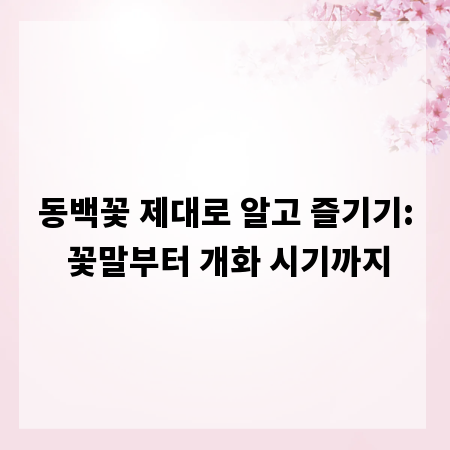 동백꽃 제대로 알고 즐기기: 꽃말부터 개화 시기까지