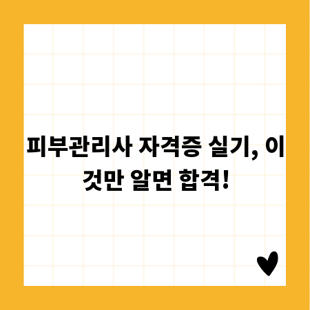 피부관리사 자격증 실기, 이것만 알면 합격!