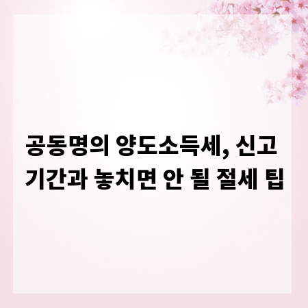 공동명의 양도소득세, 신고 기간과 놓치면 안 될 절세 팁