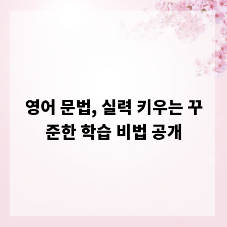 영어 문법, 실력 키우는 꾸준한 학습 비법 공개