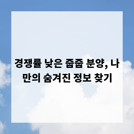 경쟁률 낮은 줍줍 분양, 나만의 숨겨진 정보 찾기