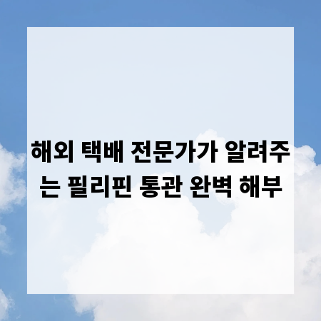 해외 택배 전문가가 알려주는 필리핀 통관 완벽 해부
