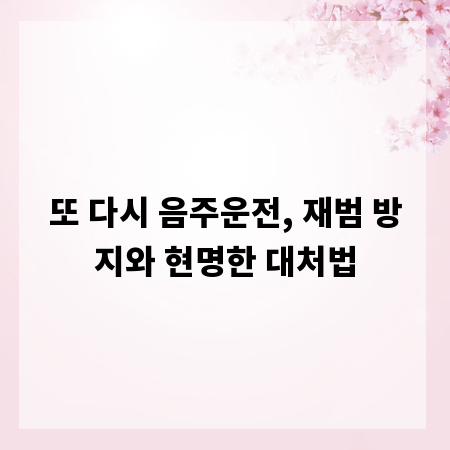 또 다시 음주운전, 재범 방지와 현명한 대처법