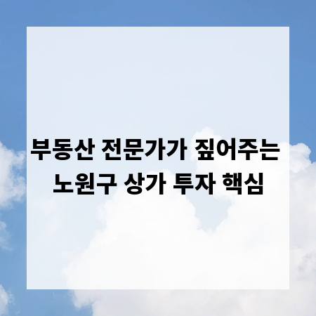 부동산 전문가가 짚어주는 노원구 상가 투자 핵심