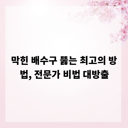 막힌 배수구 뚫는 최고의 방법, 전문가 비법 대방출