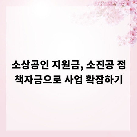 소상공인 지원금, 소진공 정책자금으로 사업 확장하기