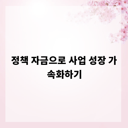 정책 자금으로 사업 성장 가속화하기