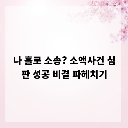 나 홀로 소송? 소액사건 심판 성공 비결 파헤치기