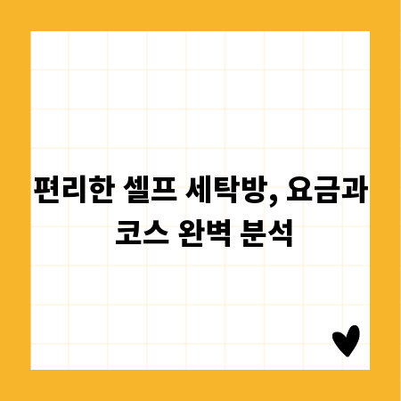 편리한 셀프 세탁방, 요금과 코스 완벽 분석