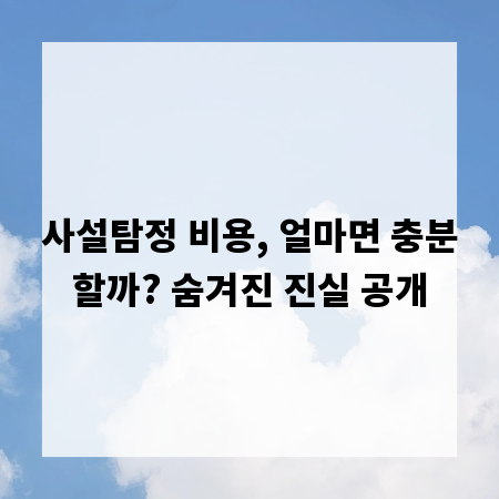 사설탐정 비용, 얼마면 충분할까? 숨겨진 진실 공개