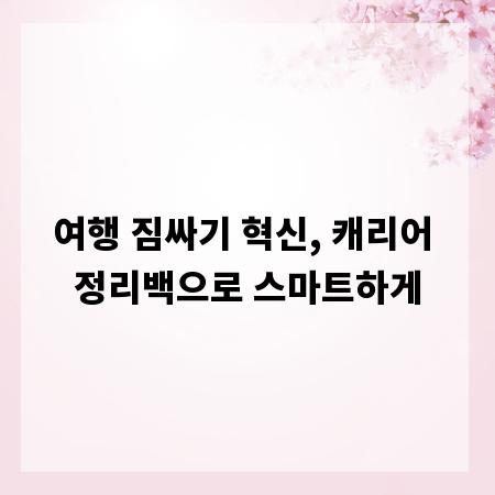 여행 짐싸기 혁신, 캐리어 정리백으로 스마트하게