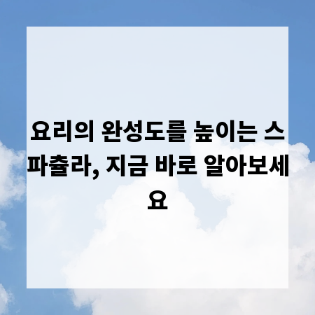 요리의 완성도를 높이는 스파츌라, 지금 바로 알아보세요