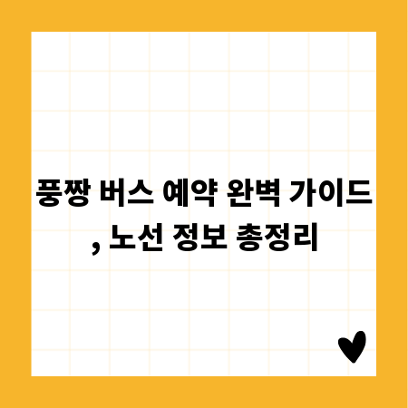 풍짱 버스 예약 완벽 가이드, 노선 정보 총정리