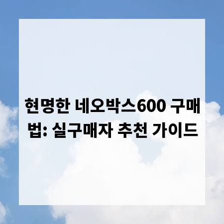 현명한 네오박스600 구매법: 실구매자 추천 가이드
