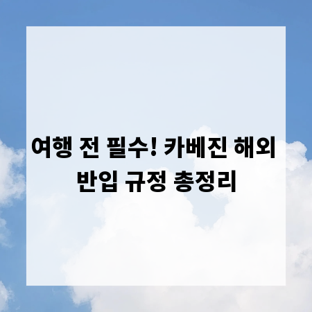 여행 전 필수! 카베진 해외 반입 규정 총정리