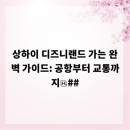 상하이 디즈니랜드 가는 완벽 가이드: 공항부터 교통까지
##