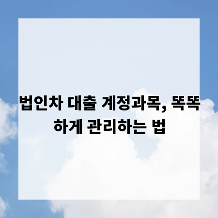 법인차 대출 계정과목, 똑똑하게 관리하는 법