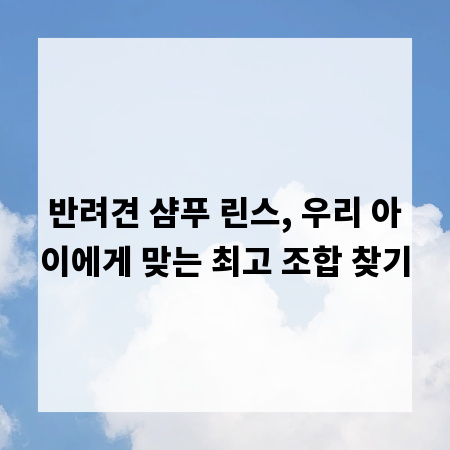 반려견 샴푸 린스, 우리 아이에게 맞는 최고 조합 찾기