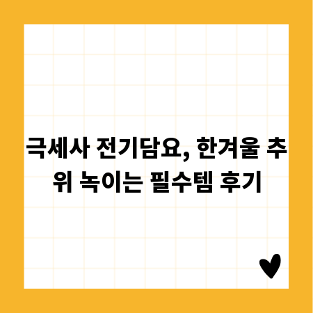극세사 전기담요, 한겨울 추위 녹이는 필수템 후기