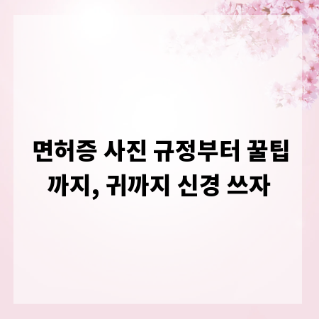 면허증 사진 규정부터 꿀팁까지, 귀까지 신경 쓰자