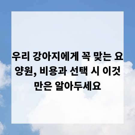 우리 강아지에게 꼭 맞는 요양원, 비용과 선택 시 이것만은 알아두세요
