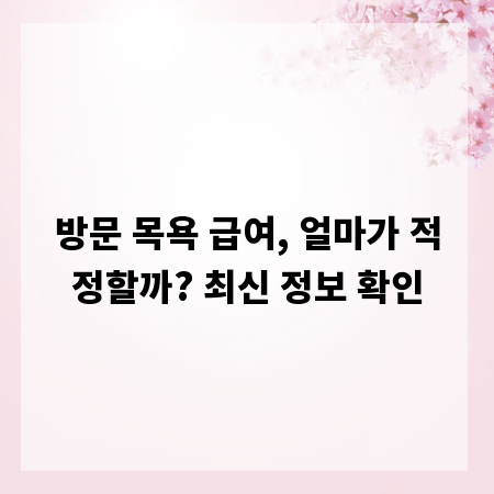 방문 목욕 급여, 얼마가 적정할까? 최신 정보 확인