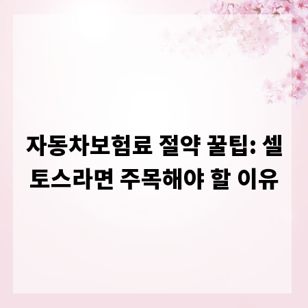 자동차보험료 절약 꿀팁: 셀토스라면 주목해야 할 이유