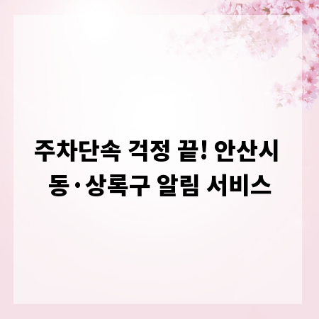 주차단속 걱정 끝! 안산시 동·상록구 알림 서비스