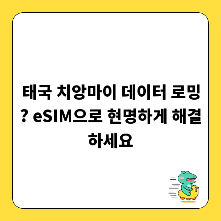 태국 치앙마이 데이터 로밍? eSIM으로 현명하게 해결하세요