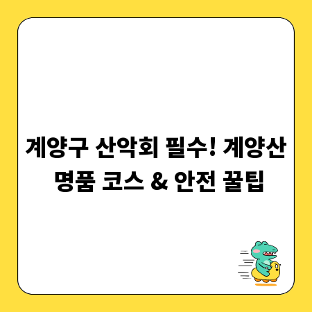 계양구 산악회 필수! 계양산 명품 코스 & 안전 꿀팁