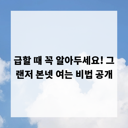 급할 때 꼭 알아두세요! 그랜저 본넷 여는 비법 공개