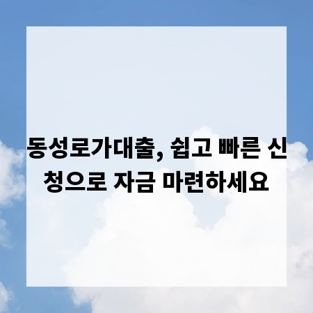 동성로가대출, 쉽고 빠른 신청으로 자금 마련하세요
