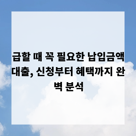 급할 때 꼭 필요한 납입금액대출, 신청부터 혜택까지 완벽 분석