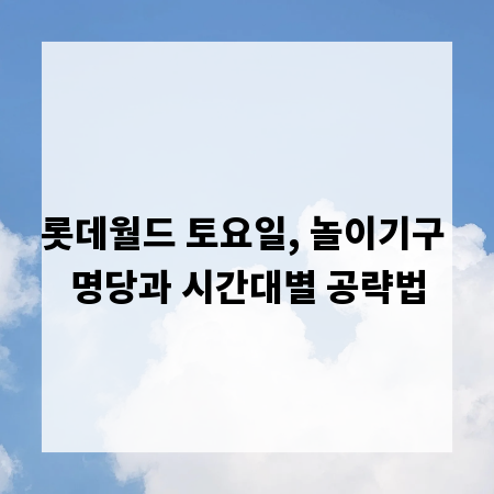 롯데월드 토요일, 놀이기구 명당과 시간대별 공략법