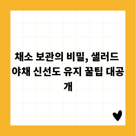 채소 보관의 비밀, 샐러드 야채 신선도 유지 꿀팁 대공개