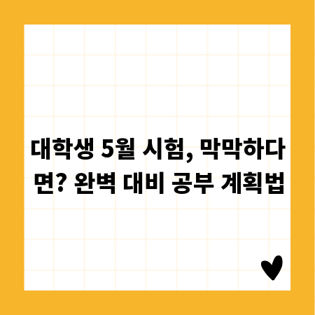 대학생 5월 시험, 막막하다면? 완벽 대비 공부 계획법