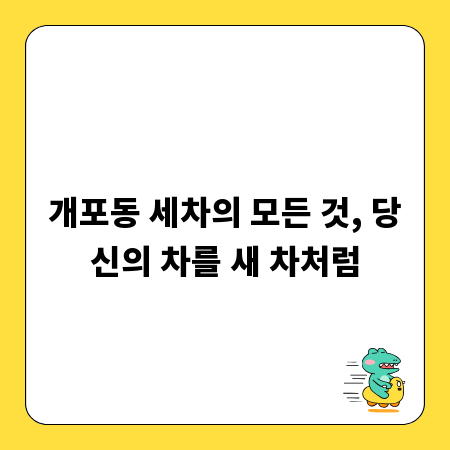 개포동 세차의 모든 것, 당신의 차를 새 차처럼