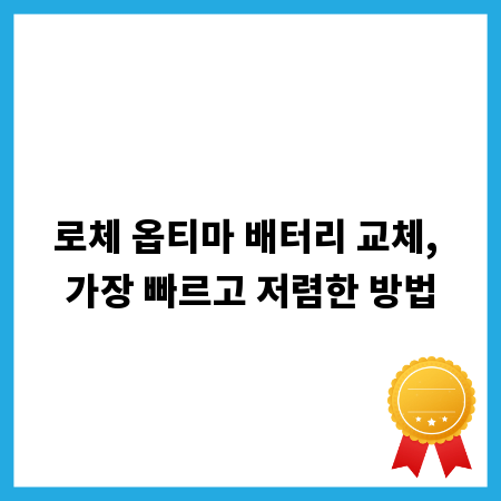 로체 옵티마 배터리 교체, 가장 빠르고 저렴한 방법