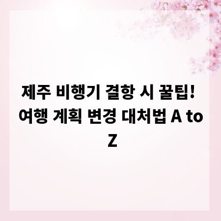 제주 비행기 결항 시 꿀팁! 여행 계획 변경 대처법 A to Z